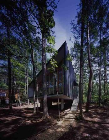 �ձ��˵����ؾ��� ɭ����ĩ�ȼ�����