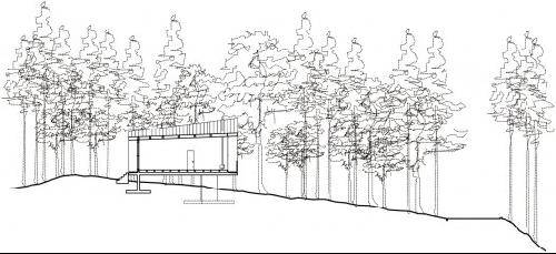 �ձ��˵����ؾ��� ɭ����ĩ�ȼ�����