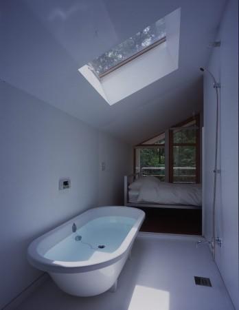 �ձ��˵����ؾ��� ɭ����ĩ�ȼ�����