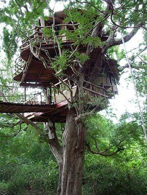 ����(sh��)�ݡ�