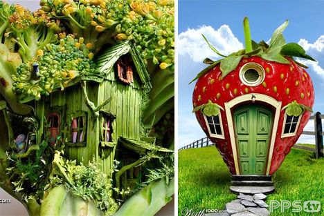 ��ʳ�õĽ���