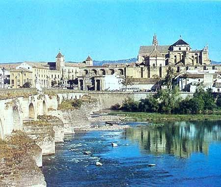 �������Ơ����ߴ�������