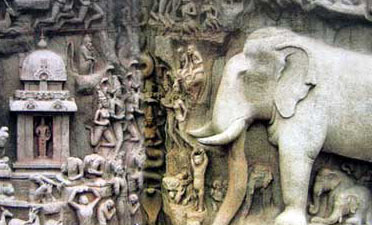 �R���������m���͸���