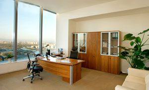 �P(p��n)�Ŵ��^