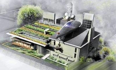 ʮ���(ji��)�ܵ�̼����
