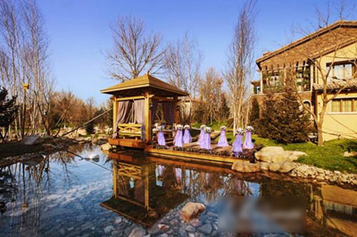 �e�������D�p��