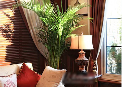 �e����(sh��)���D�p��