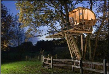 �ɐ�(��i)�B��