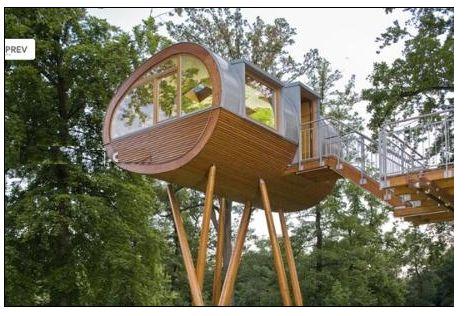 �ɐ�(��i)�B��