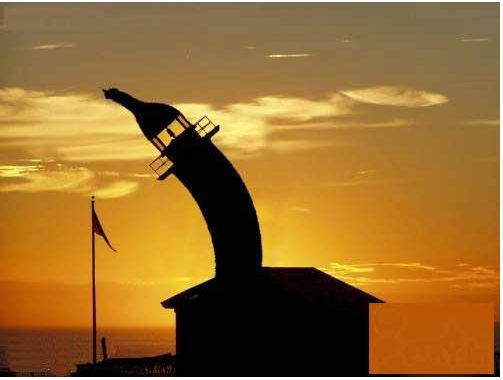 ��Ц����