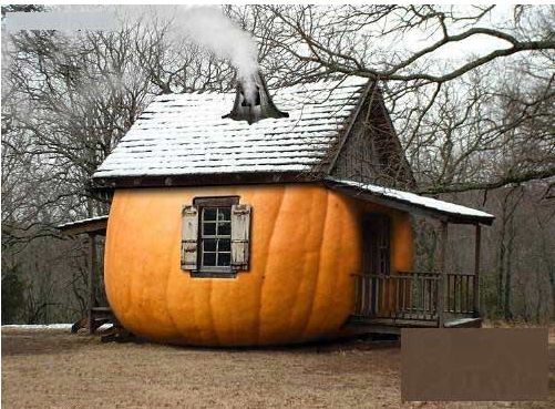 ��Ц����