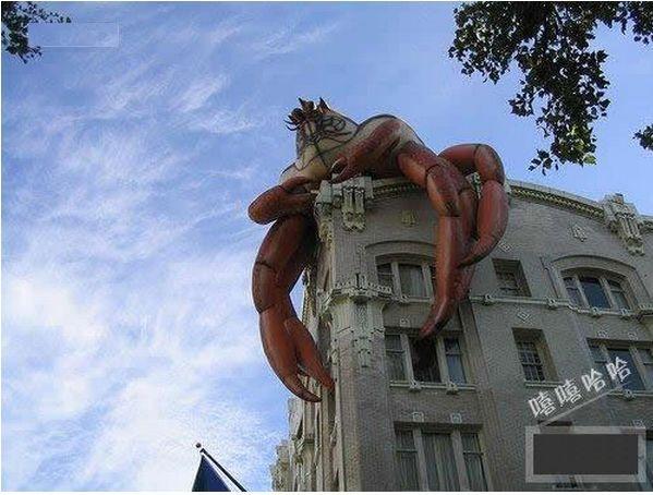 ��Ц����