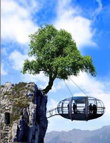 ��Ĭ����