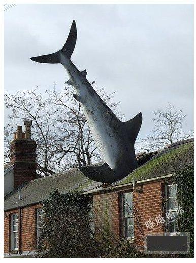 ��Ц����