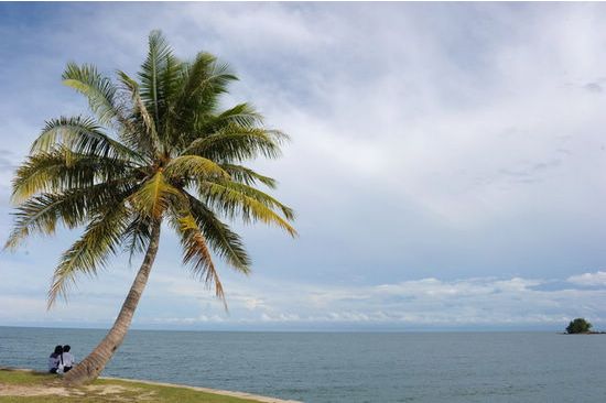 ���Rhttp://m.tunmint.cn/new/63_256/2010_7_23_du39098105832701024914.shtml