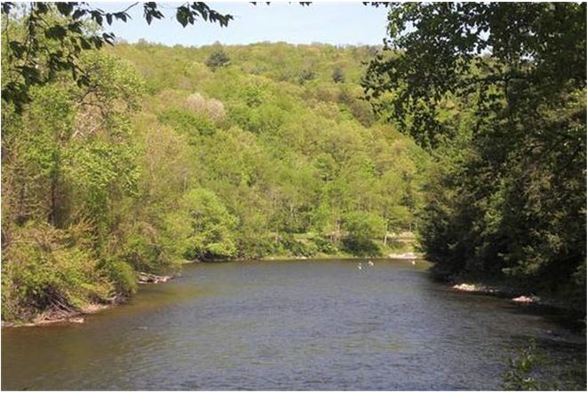 ���سǱ�http://m.tunmint.cn/new/63_256/2010_7_27_du69253541161727010213230.shtml