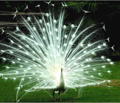 ���p��{�����鿂����http://m.tunmint.cn/new/63_256/2010_8_18_du34514431818010237.shtml