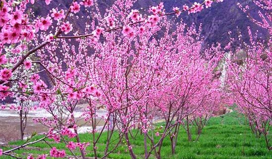 �����������h(hu��n)ttp://m.tunmint.cn/new/63_256/2010_8_18_du11918312181801021480.shtml