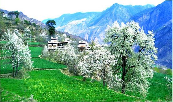 �����������h(hu��n)ttp://m.tunmint.cn/new/63_256/2010_8_18_du11918312181801021480.shtml