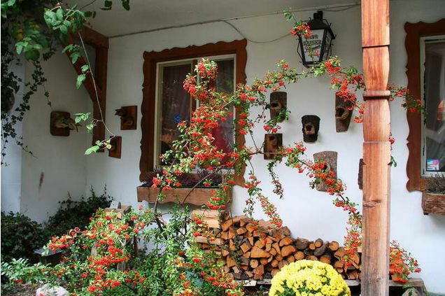 �W��������ʩ����http://m.tunmint.cn/new/63_256/2010_8_23_du0134313280102128.shtml