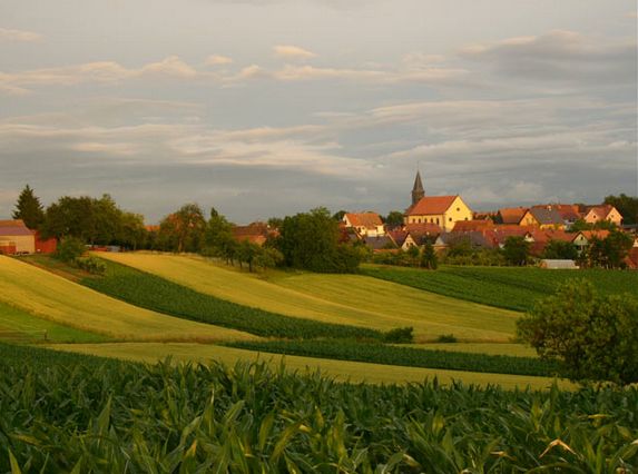 �SҲ�{��С�l(xi��ng)��http://m.tunmint.cn/new/63_256/2010_8_23_du47331265132801025943.shtml