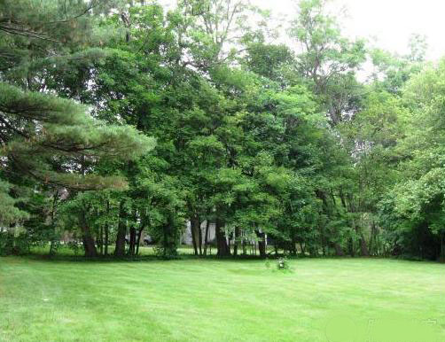 ����(gu��)���I(l��ng)С�e��