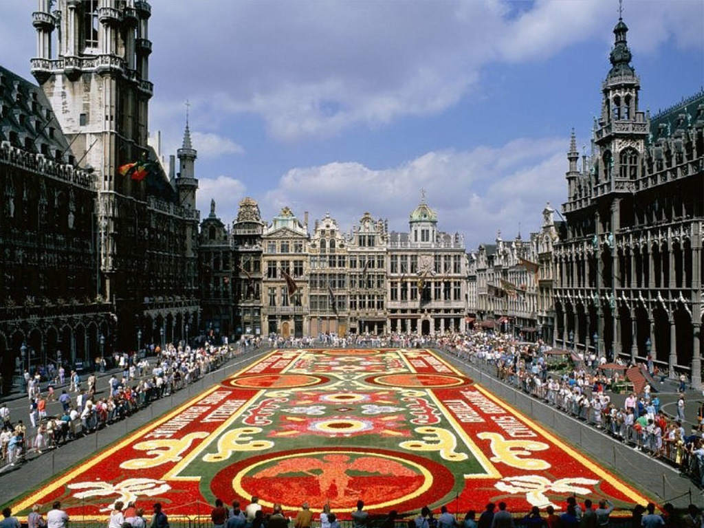 �������D���p������