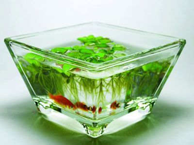 2010��ҾӔ[�O(sh��)�״�Ҫ�c(di��n)��1��