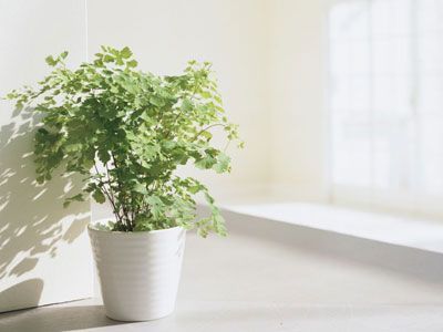 2010��ҾӔ[�O(sh��)�״�Ҫ�c(di��n)��1��