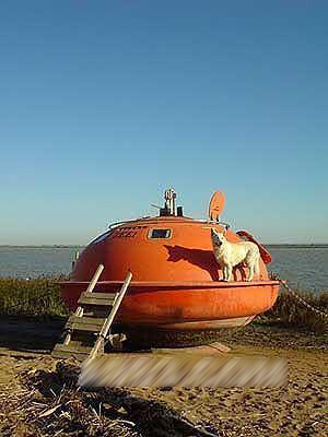 �殐�����^�����O(sh��)Ӌ(j��)��5��