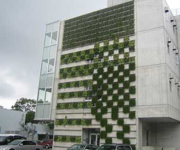 �ձ��Gɫ�����OӋ