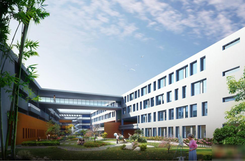 ���ԵĽ������壩