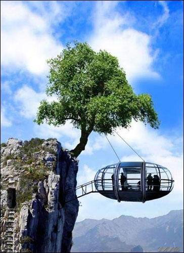 ����Ľ�����1��