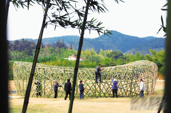 �l(xi��ng)�彨���c��(gu��)�ҽ�����2��