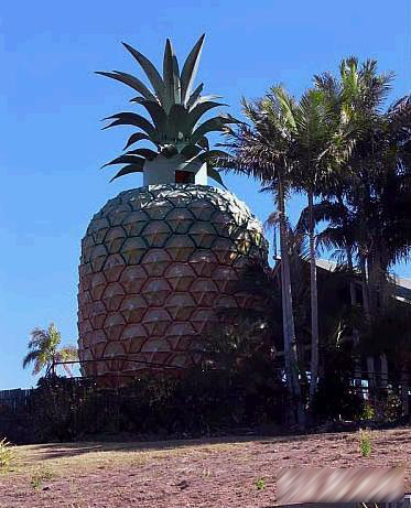 ����Ľ�����4��