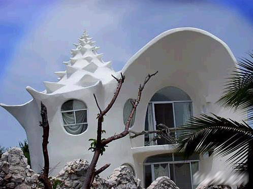 ����Ľ�����1��