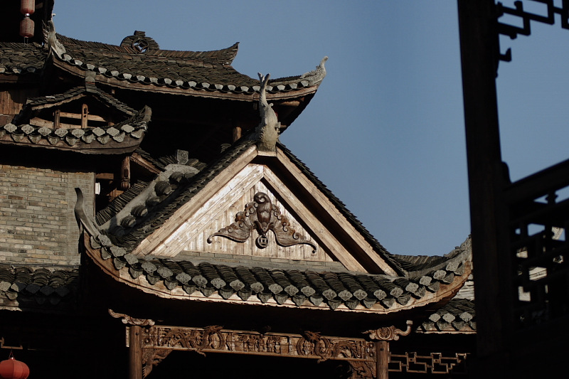 �����Ž�����5��