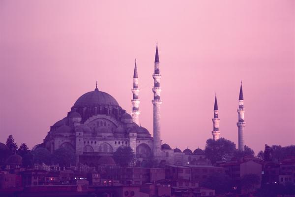 ��(y��u)���������p��1��