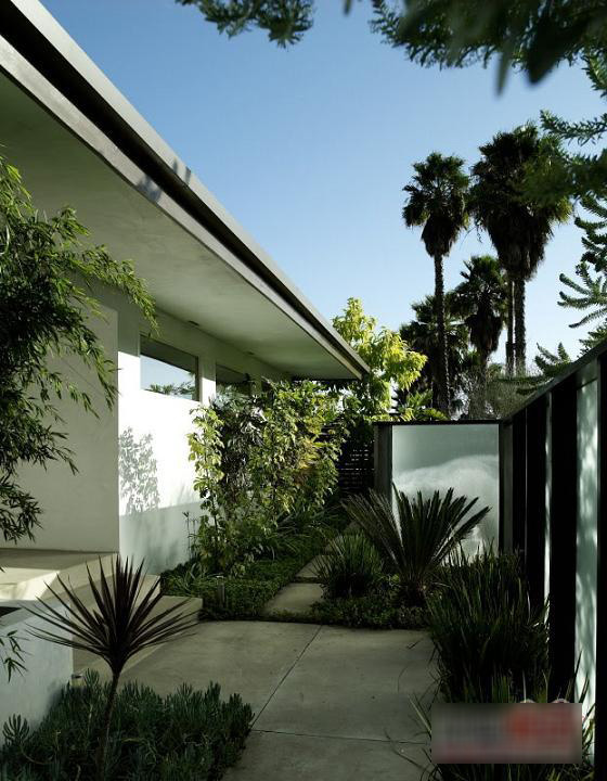 ��t���͎�RachelZoe��լ