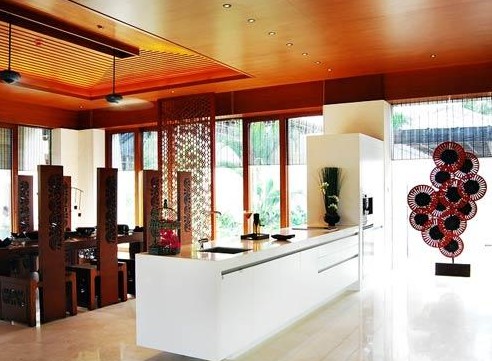 �R���v5000�fԪ������լ�����