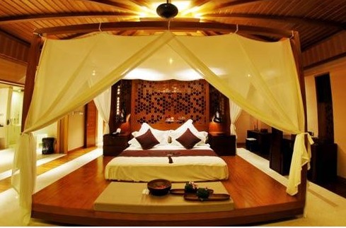 �R���v5000�fԪ������լ�����