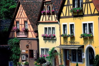 ���_�v������������ �B͸�ŵ�