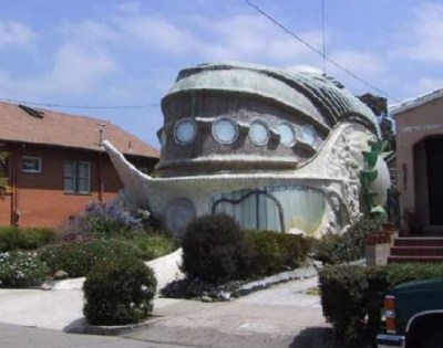 �����������