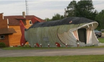 �����������