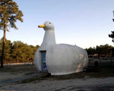 �����������