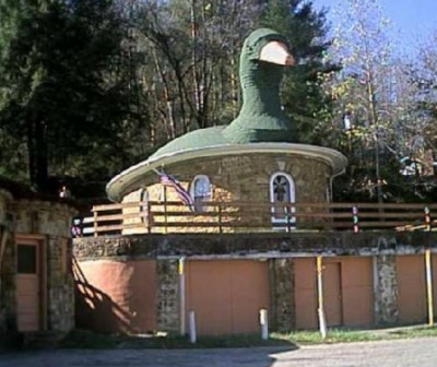 �����������