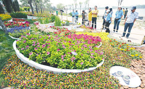 ��̼���@չ�ļ��ʺ��Ӆ^(q��)