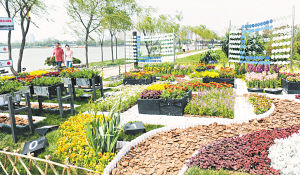 ��̼���@չ�ľGɫ�ǻۅ^(q��)