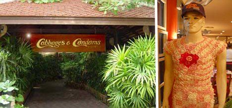 ���Ĳ˺ͱ����ײ͏d