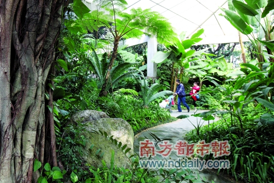 �齭���@��1��